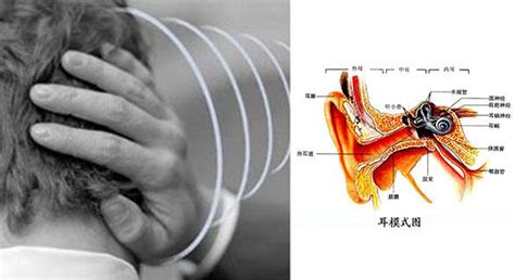 一直耳鳴|耳朵嗡嗡叫，持續耳鳴怎麼辦？一文看懂「耳鳴」的8。